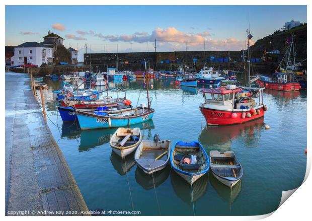 Boats in the inner harbour (Mevagissey) Print by Andrew Ray