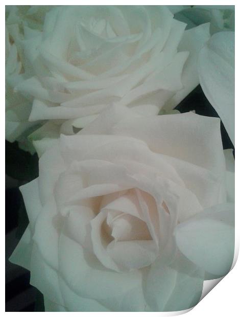  White Roses Print by Yasmin Jeevanjee