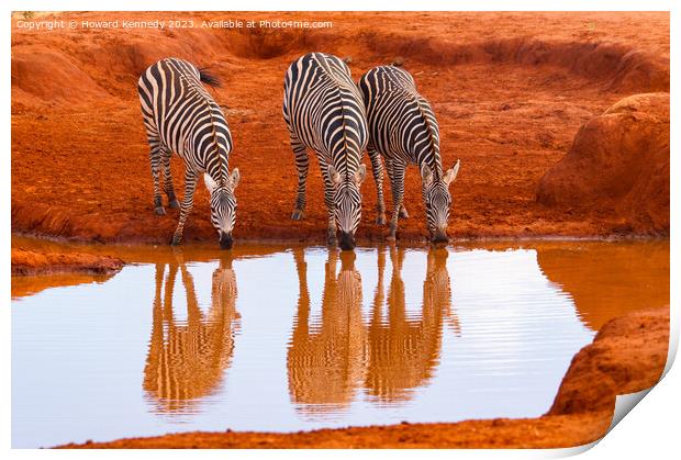 Burchell's Zebra at waterhole Print by Howard Kennedy