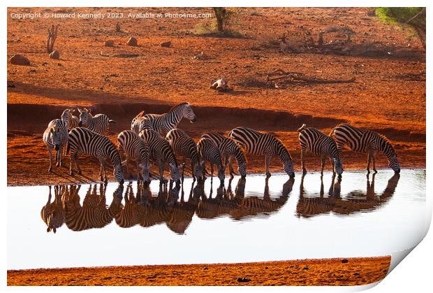Burchell's Zebra reflections Print by Howard Kennedy