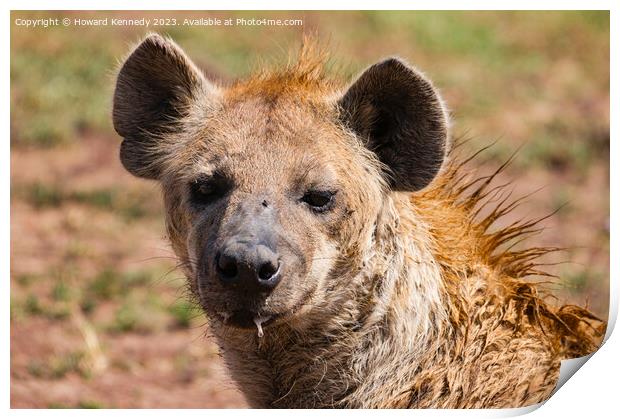 Spotted Hyena headshot Print by Howard Kennedy
