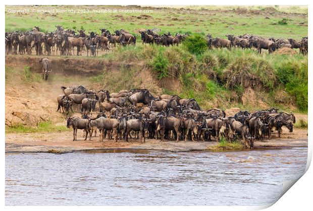 Wildebeest approaching the Mara River during the Great Migration Print by Howard Kennedy