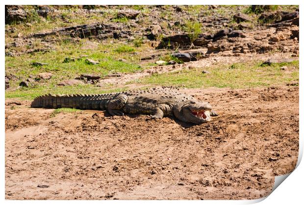 Basking Crocodile Print by Howard Kennedy