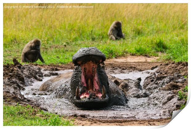 Hippo yawning Print by Howard Kennedy