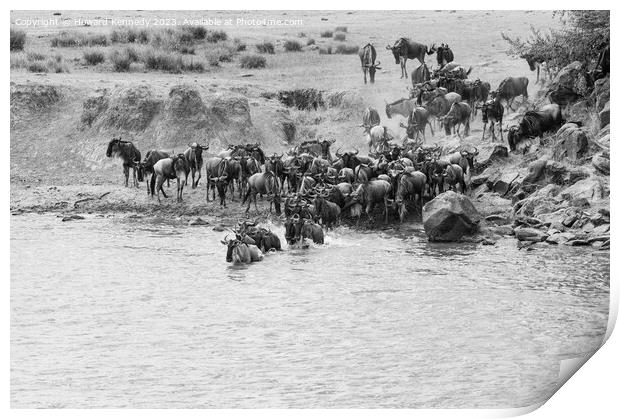 Wildebeest dodging Crocodile as they cross the Mara River during the Great Migration in black and white Print by Howard Kennedy