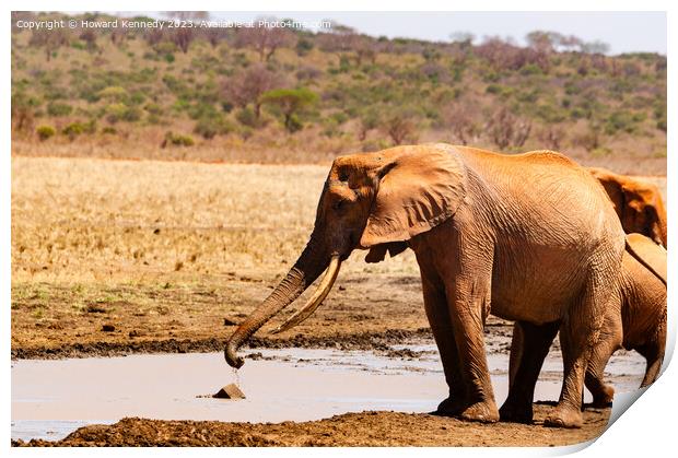 Elephant collecting mud for a mud bath Print by Howard Kennedy