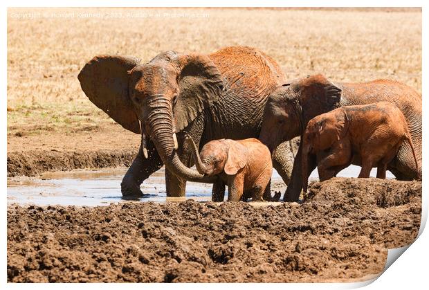 A Helping Hand from Elephant Mum Print by Howard Kennedy