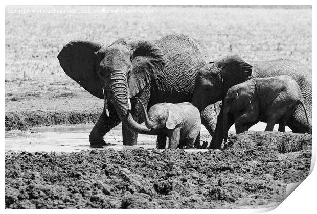 A Helping Hand from Elephant Mum in black and white Print by Howard Kennedy