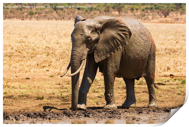 Young Bull Elephant leaving a mud bath covered in mud Print by Howard Kennedy