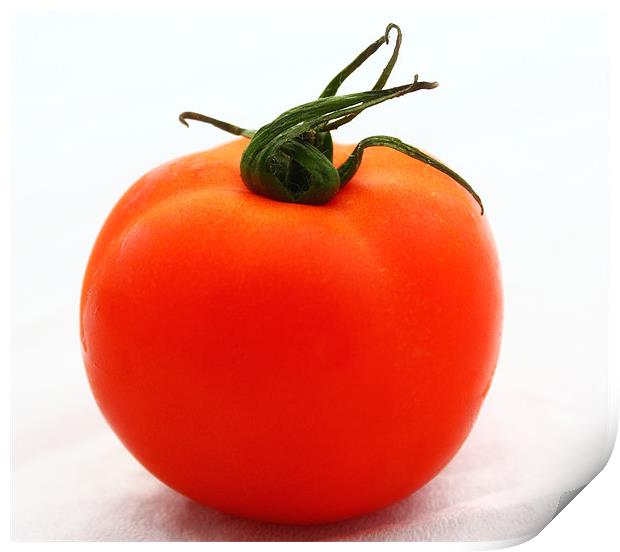Tomato Print by Paul Piciu-Horvat