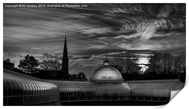  Botanic Gardens Glasgow Print by Ali  Daisley