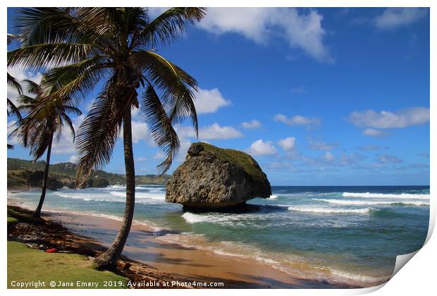 Coral Rock Bathsheba, Barbados Print by Jane Emery