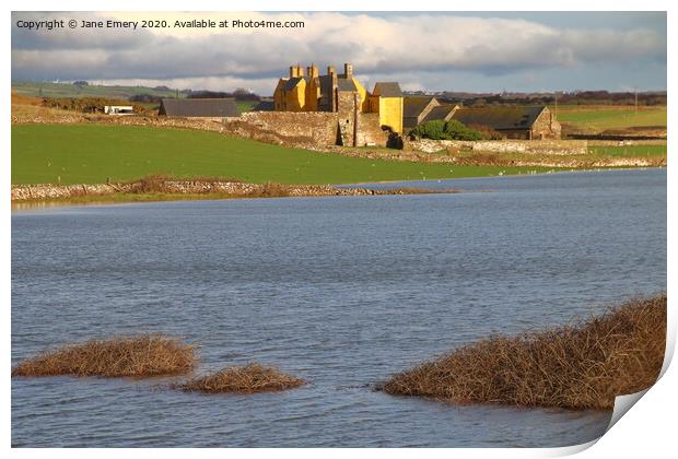 Sker House Kenfig Burrows Print by Jane Emery