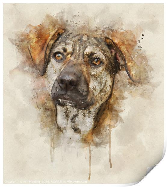 Digi Dog Print by Ash Harding