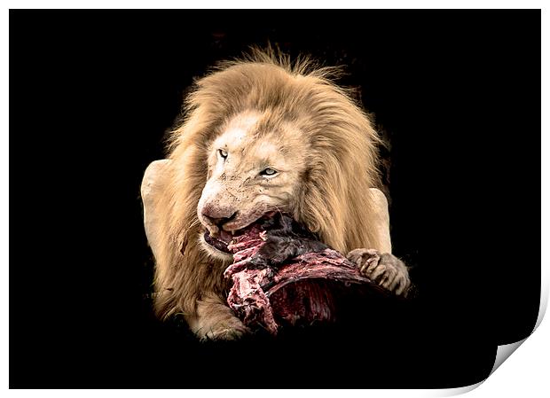  Lion's Lunch Print by Louise Wilden