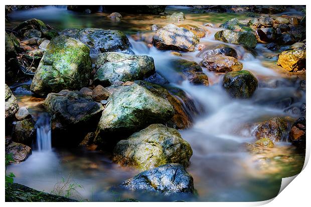  Wonder of Water Print by Dave Rowlands