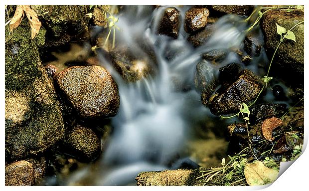  The Beauty of Water Print by Dave Rowlands