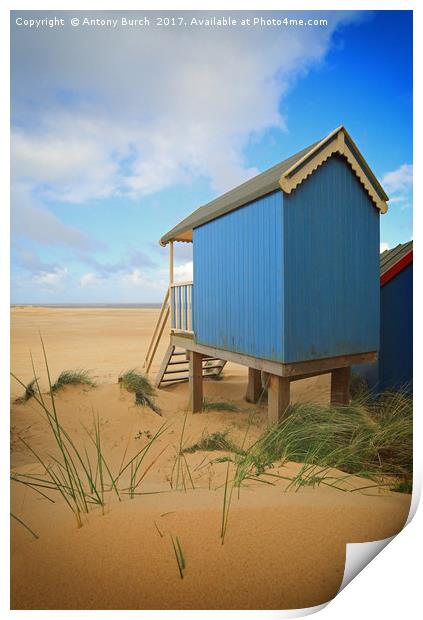 Wells Beach Hut  Print by Antony Burch