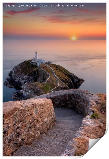 South Stack Sundown Print by Antony Burch