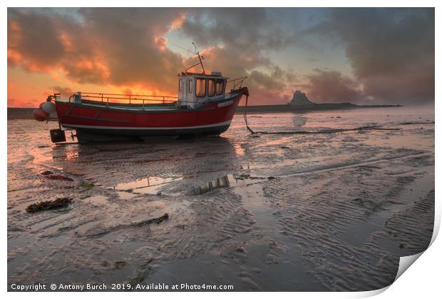 Lindisfarne fishing boat sunrise Print by Antony Burch