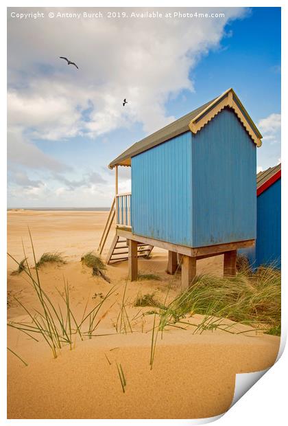 Beach Huts and Birds Print by Antony Burch