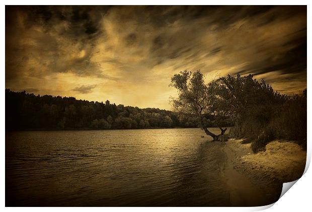 Along the river Print by Piotr Tyminski