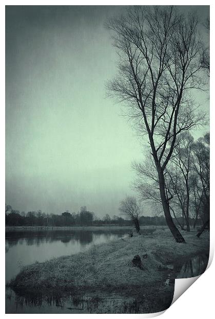  Along the river #7 Print by Piotr Tyminski