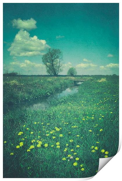 Dandelions Print by Piotr Tyminski