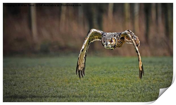  European Eagle Owl in Flight Print by Mike Twist
