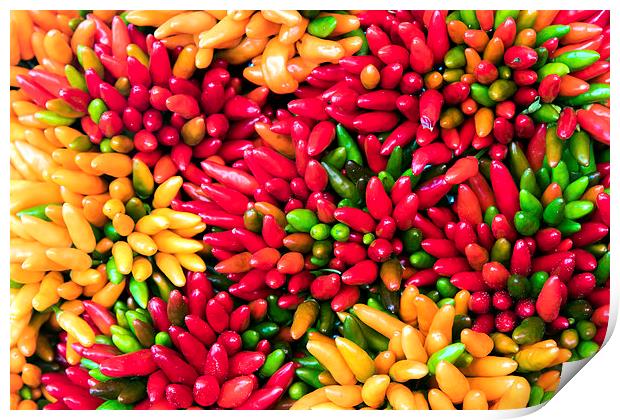 Bunch of chilli peppers Print by Dave Carroll