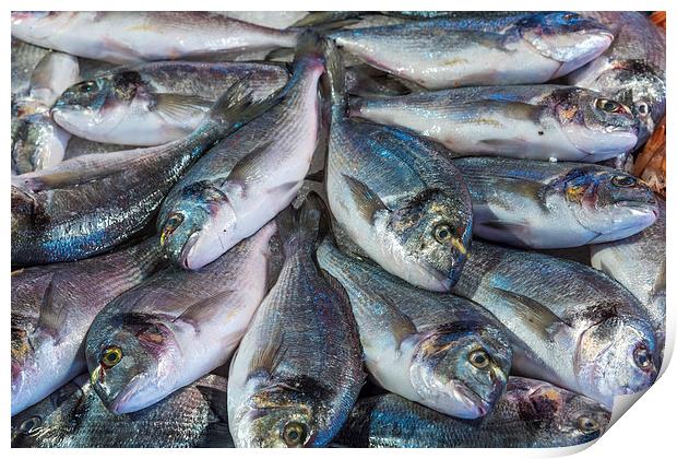  Fresh Fish Print by Dave Carroll
