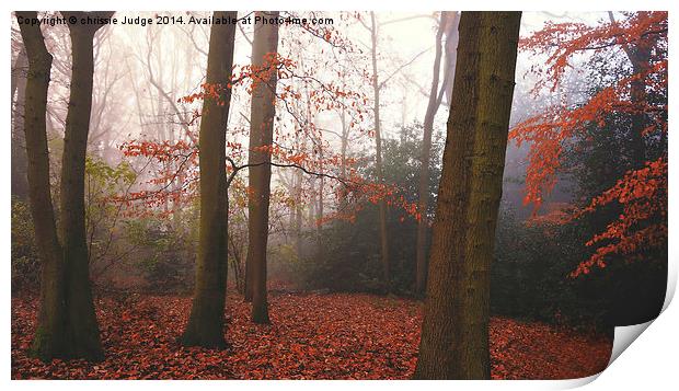  The Autumn Forest Hampstead-heath London Uk  Print by Heaven's Gift xxx68