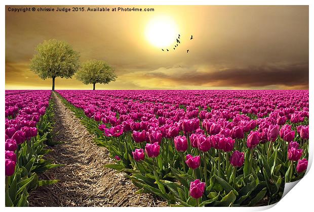  field of tulips  Print by Heaven's Gift xxx68