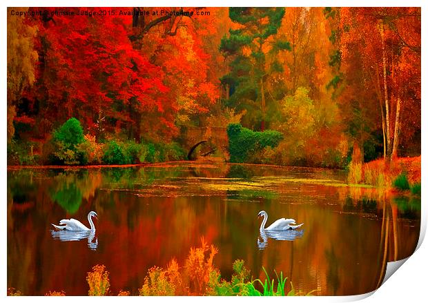  swan lake  Print by Heaven's Gift xxx68