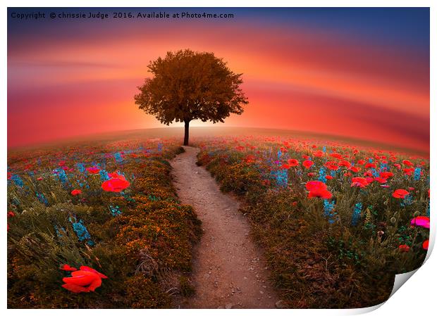 The little Red Tree on the hill  Print by Heaven's Gift xxx68