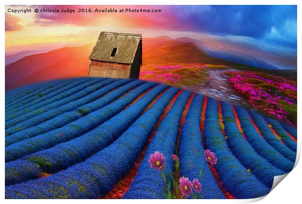 lavender-field Beauty  Print by Heaven's Gift xxx68