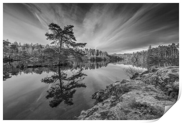 Tarn Hows black and white Print by Jonathon barnett