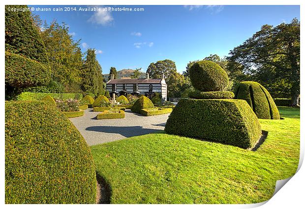  Plas Newydd Llangollen Print by Sharon Cain