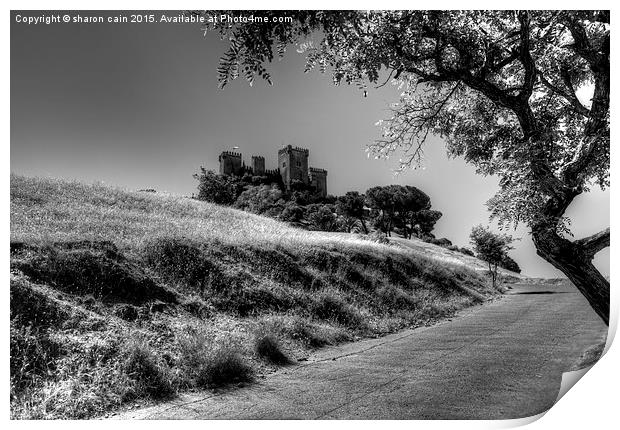  Castillo Almodóvar del Río Print by Sharon Cain