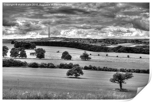  Cloud conductor is Yorkshire's Sculpture Print by Sharon Cain