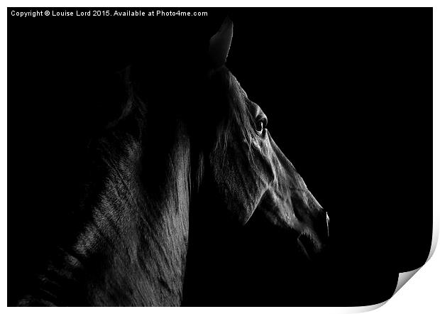  The Spanish Stallion Print by Louise Lord