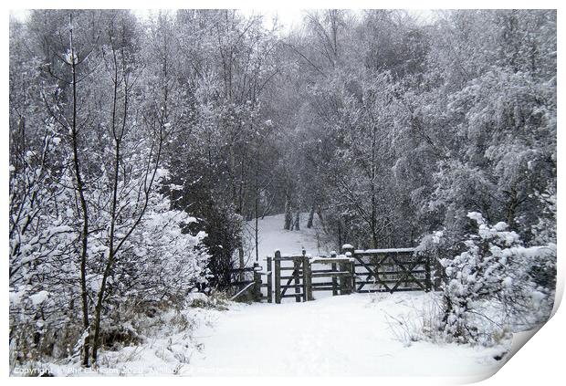 Snowy Gate in Fairburn, North Yorkshire Print by Phil Clarkson