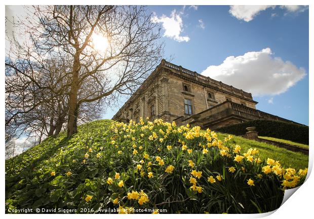 Nottingham Castle in the Sun Print by David Siggers