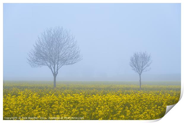 Rapeseed Pair Norfolk Print by Rick Bowden