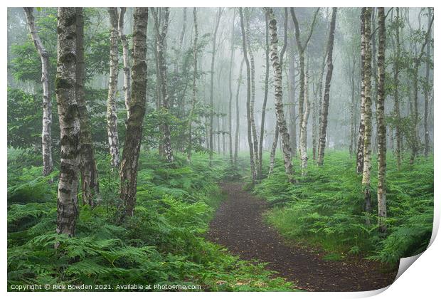 Enchanting Misty Fern Path Print by Rick Bowden