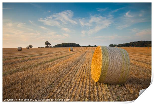 Last Days of Summer Print by Rick Bowden