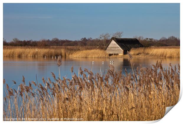 Boat House in the Reeds Print by Rick Bowden