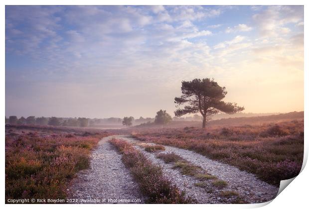 Westleton Heath Dawn Print by Rick Bowden