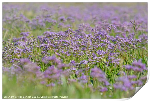 Lavender Dreams Print by Rick Bowden