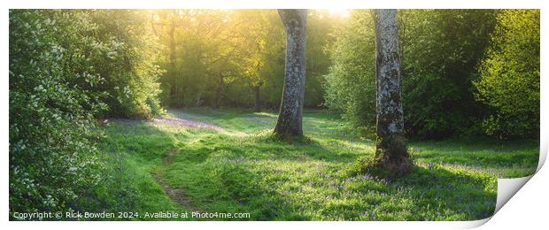 Morning Walk Through Bluebell Woods Print by Rick Bowden